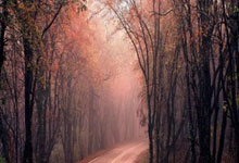 马德里竞技主场击败拜尔肯，锁定洲际杯四强席位